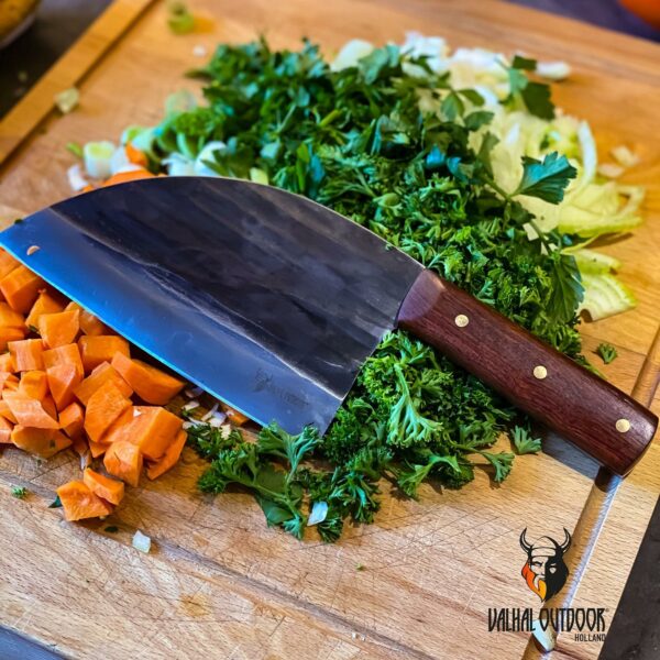 116858294_1470859839968344_4978372149510567407_o